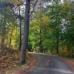 Forest Edge Cottage