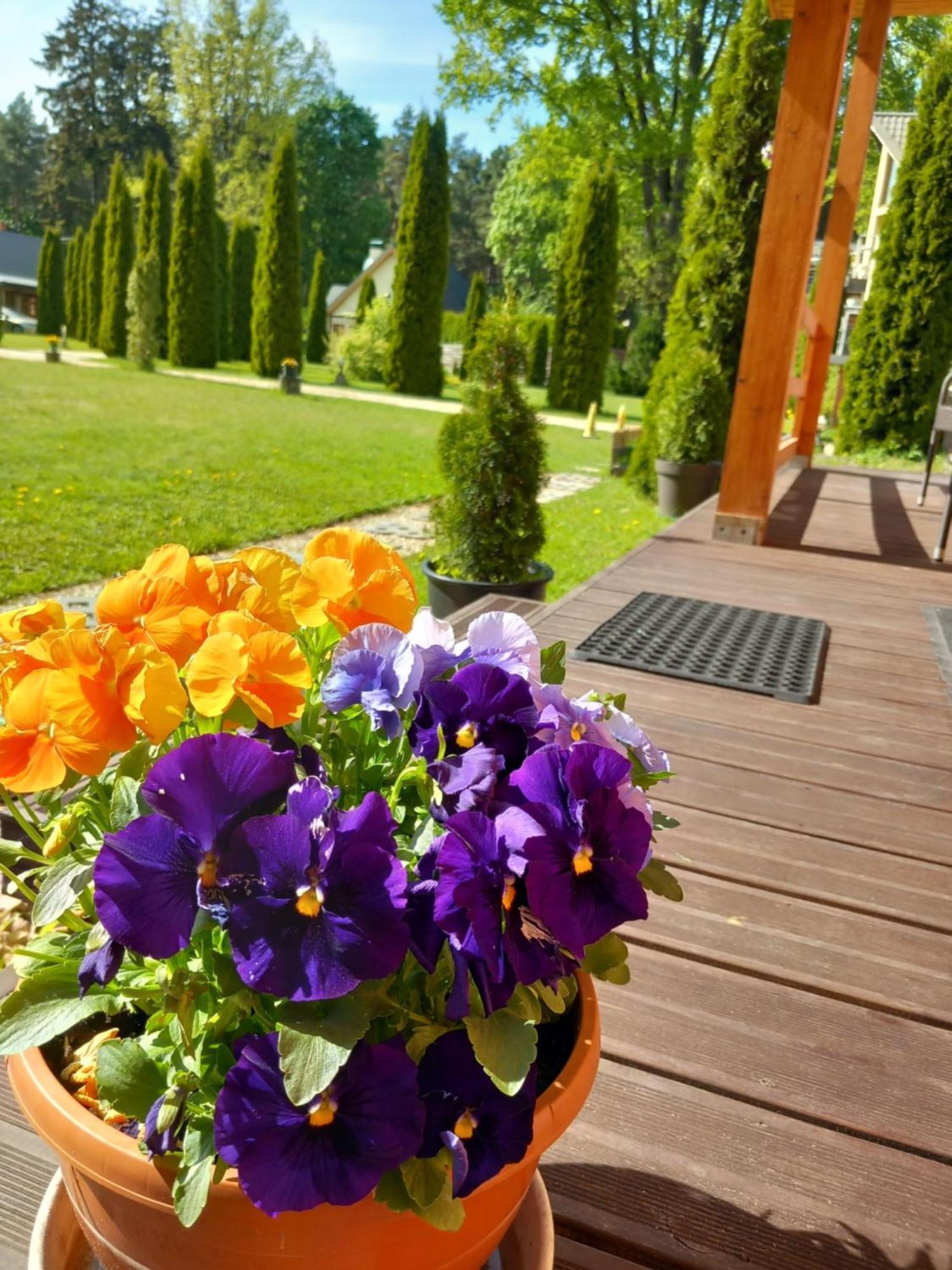 Forest Edge Vakantiehuis Riga
